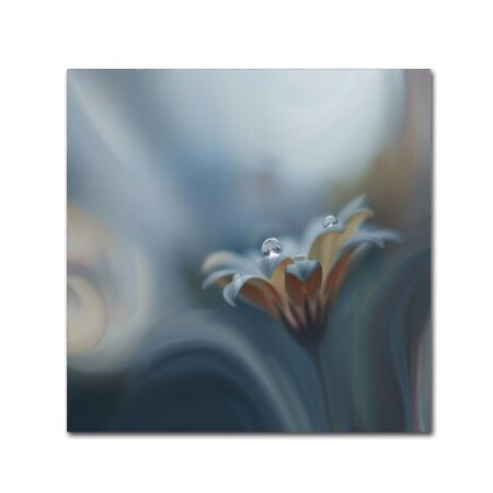 Trademark Fine Art Juliana Nan 'Infinite Longing' Canvas Art, 18x18 1X01557-C1818GG